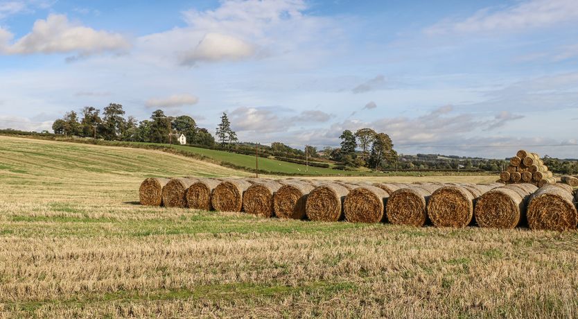 Photo of Bonjedward Mill Farm Cottage