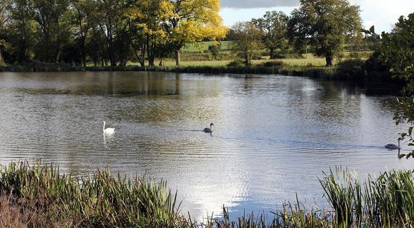 Photo of The Old Dairy