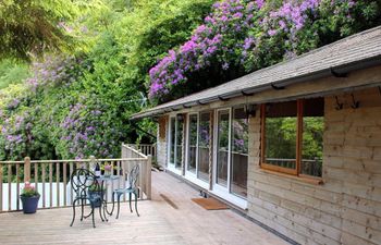 Treetops Holiday Cottage