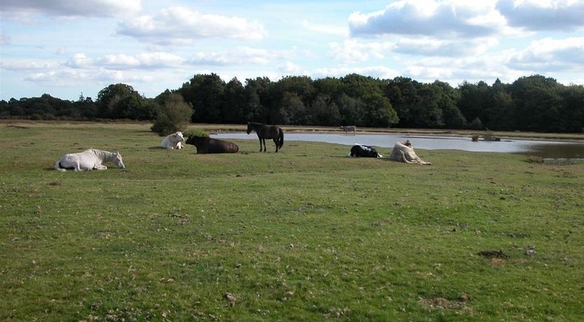 Photo of Bridge Studio