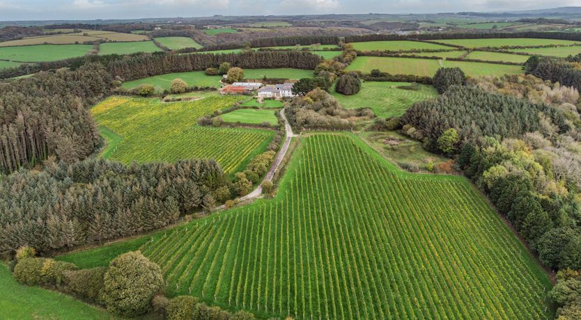 Photo of Tregoninny Vineyard and Woodland Farmhouse