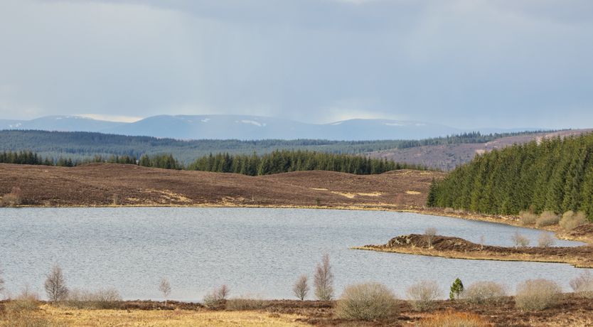 Photo of Burnside Lodge (Lodge 1, Glengoulandie)