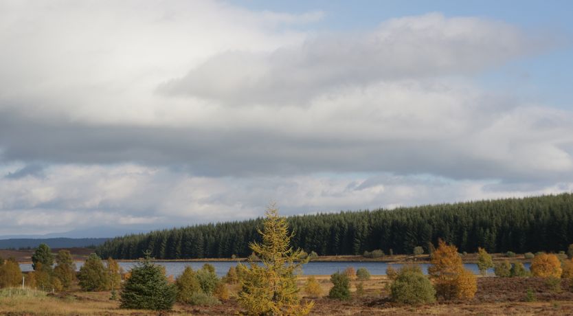 Photo of Burnside Lodge (Lodge 1, Glengoulandie)