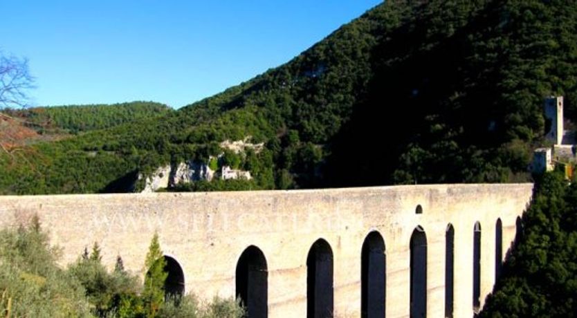 Photo of Terrazza Tetto