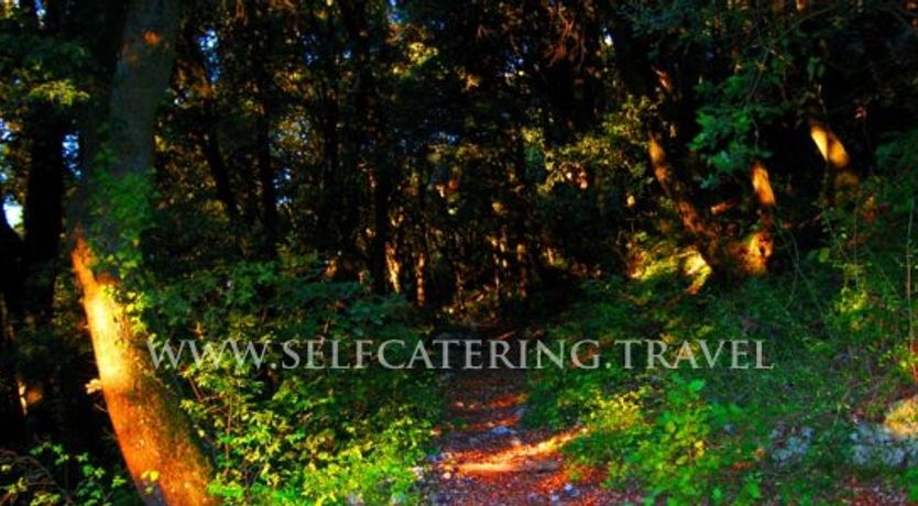 Photo of Terrazza Tetto