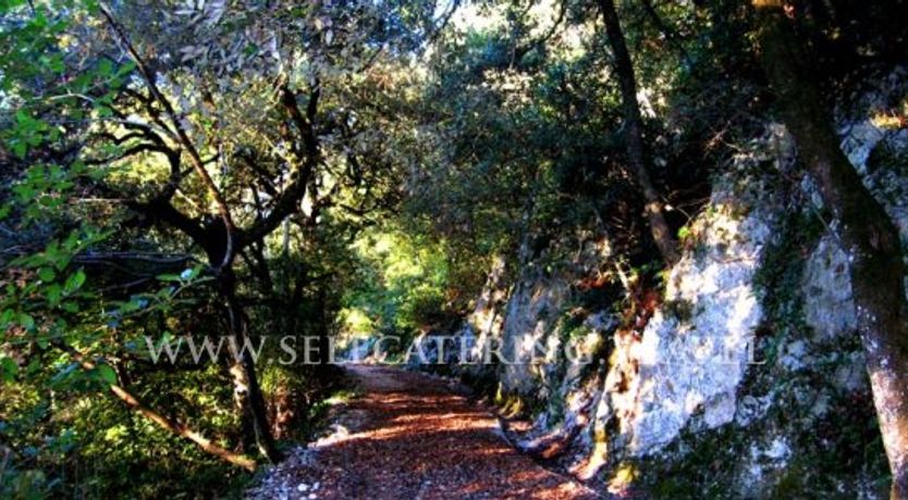 Photo of Terrazza Tetto