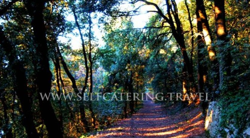 Photo of Terrazza Tetto