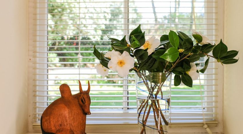 Photo of The Patio Flat