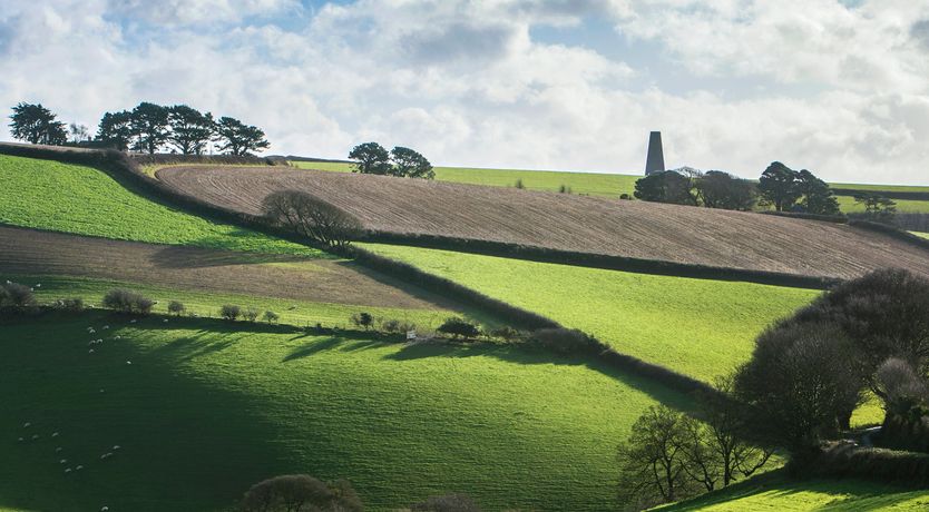 Photo of Harbour Heights