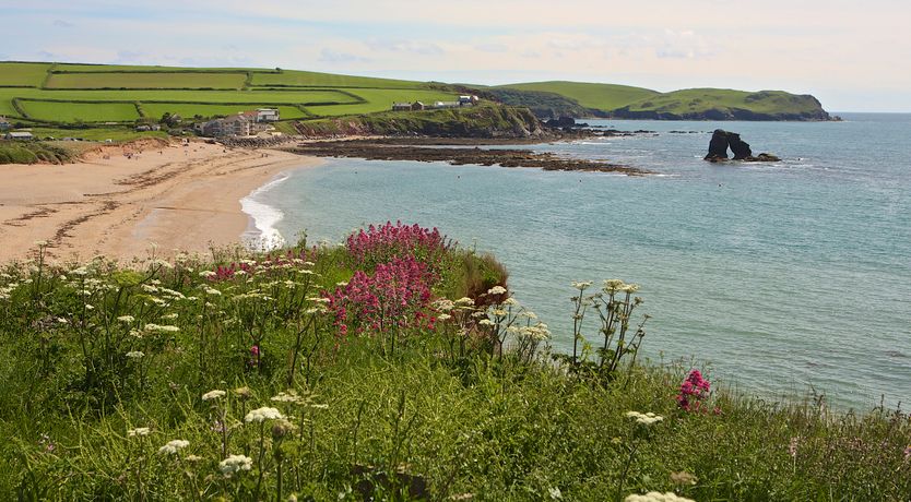 Photo of 8 Thurlestone Beach