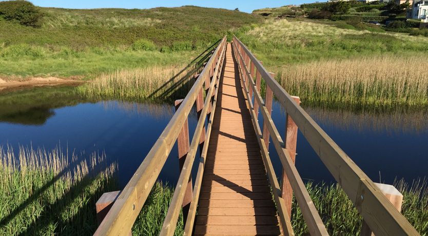 Photo of 8 Thurlestone Beach