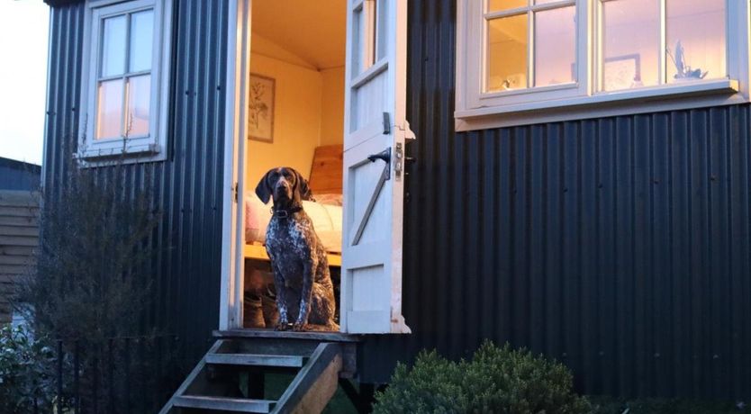 Photo of 1 Bed in Llandyfan