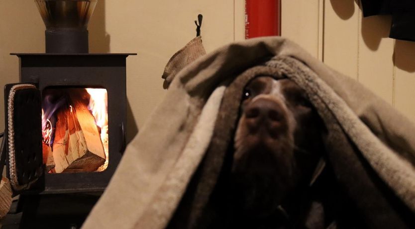 Photo of 1 Bed in Ammanford