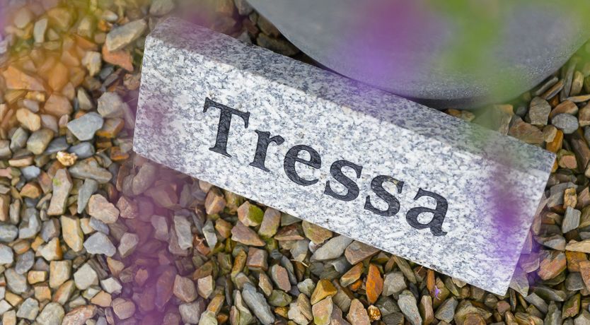 Photo of Tressa, Tor Down Quarry