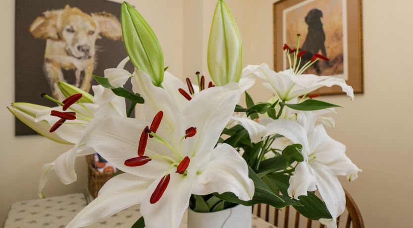 Photo of Henmarsh Cottage