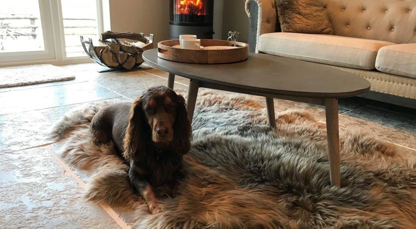 Photo of 3 Bed in Eye Kettleby