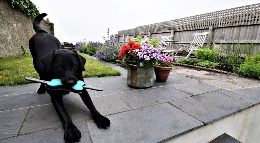 Photo of 3 Bed in Appledore