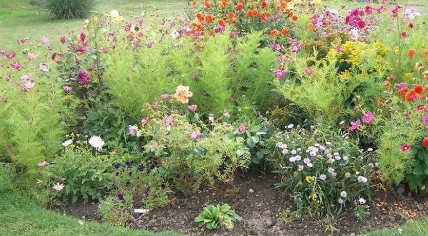 Photo of Grazeland Cottage