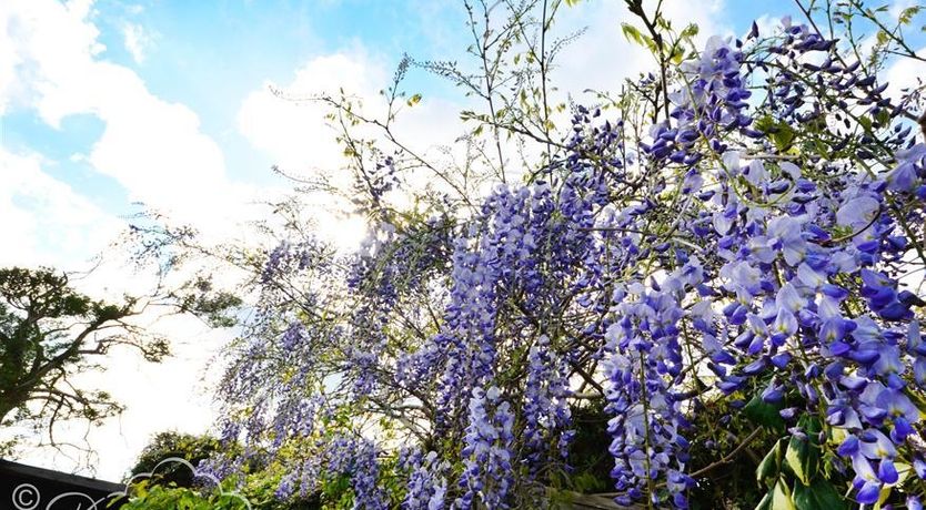 Photo of Farrier's Lodge