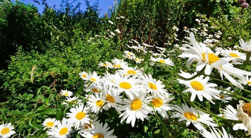 Photo of Whispering Pines Cottage