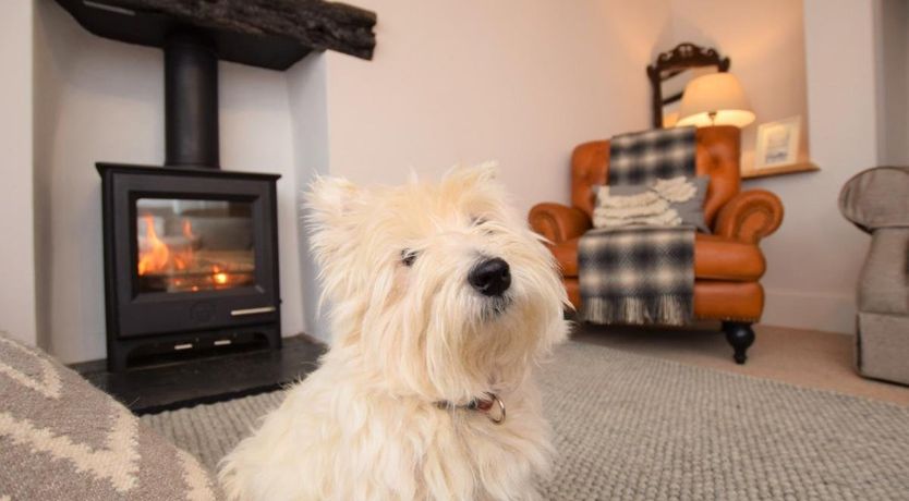 Photo of 2 Bed in Braunton