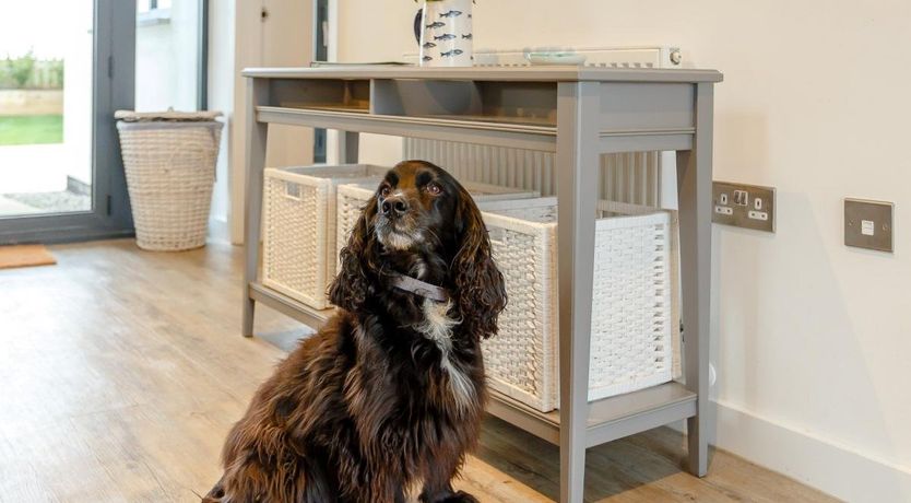 Photo of 4 Bed in Northam