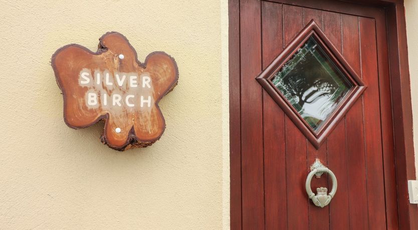 Photo of Silver Birch