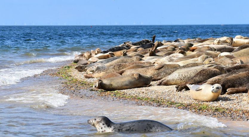 Photo of 2 Bed in Blakeney