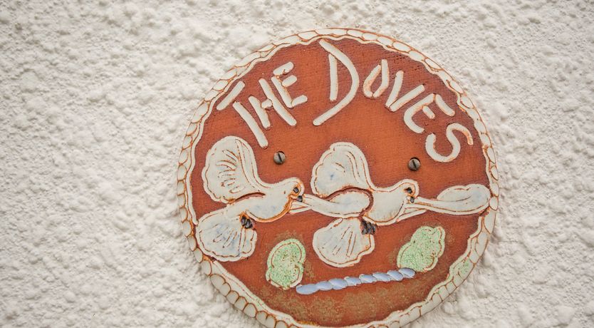 Photo of The Doves