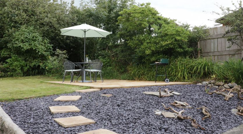 Photo of Salty Puffin