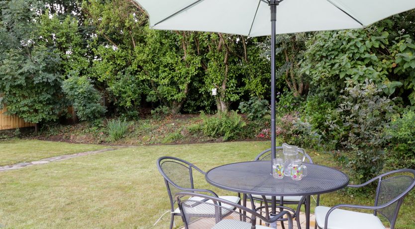 Photo of Salty Puffin