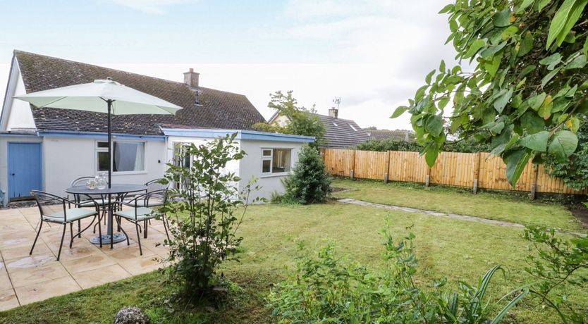 Photo of Salty Puffin