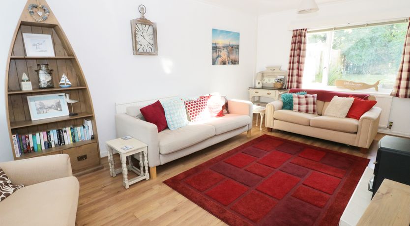 Photo of Salty Puffin