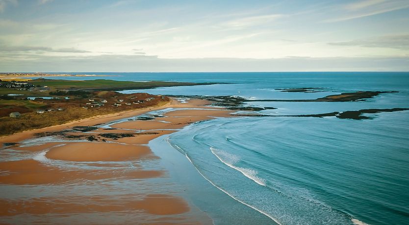 Photo of Oystercatcher