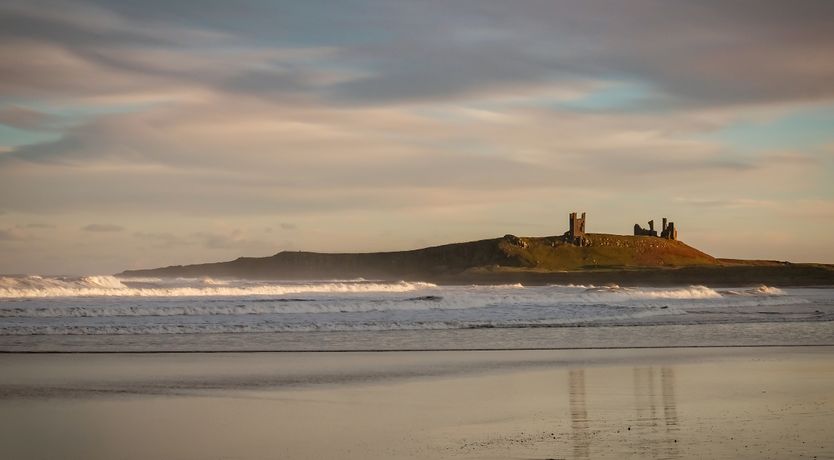 Photo of Oystercatcher