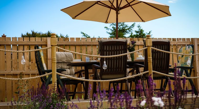 Photo of Oystercatcher