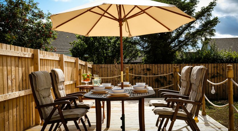 Photo of Oystercatcher