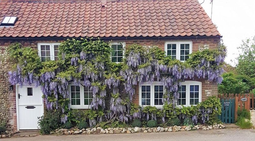 Photo of Cottage in Norfolk