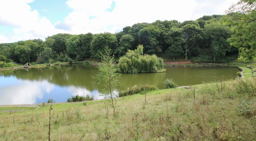 Photo of Shatterford Lakes