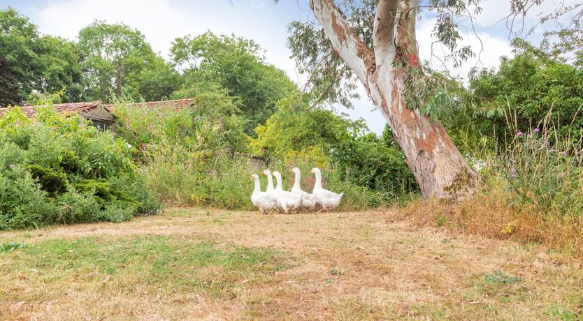 Photo of The Hen House