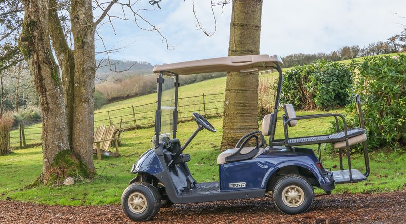 Photo of Little Silver Owl