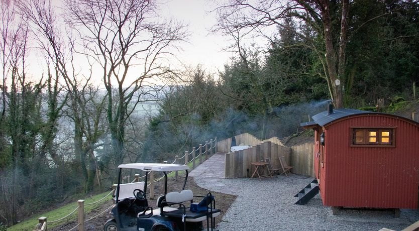 Photo of Little Silver Owl