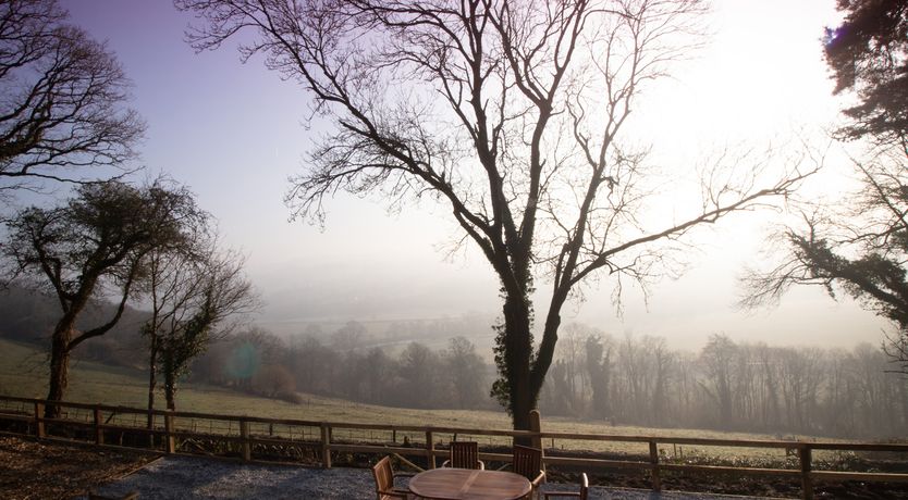 Photo of Little Silver Owl