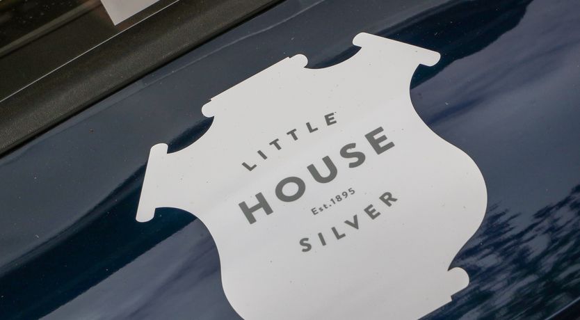 Photo of Little Silver Owl