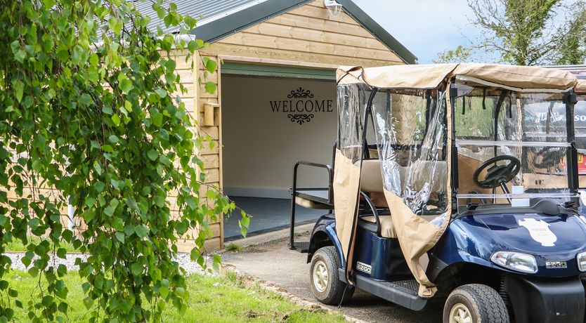 Photo of Little Silver Owl
