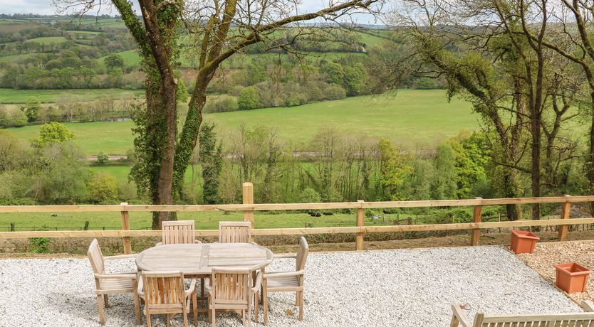 Photo of Little Silver Owl