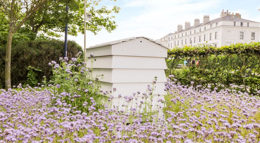 Photo of Chapel Cottage