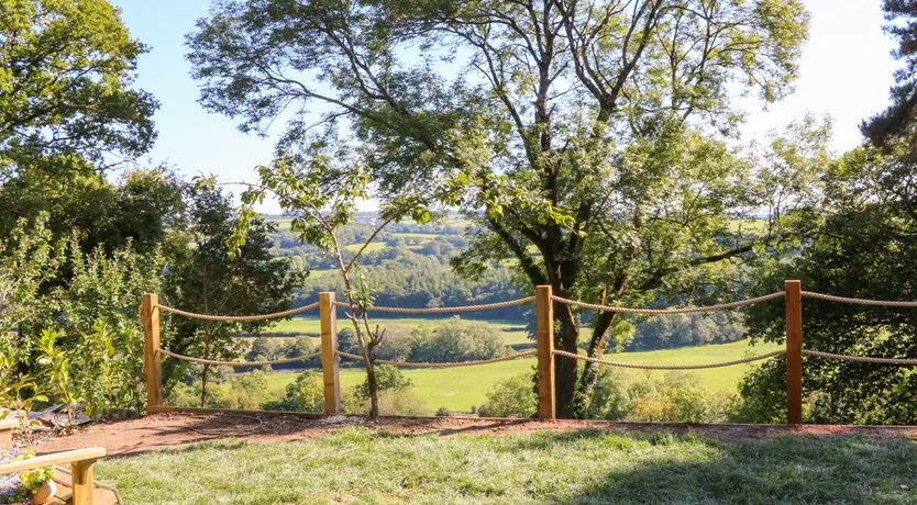 Photo of Little Silver Fox