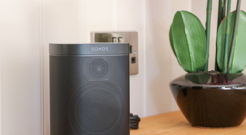 Photo of Little Silver Fox