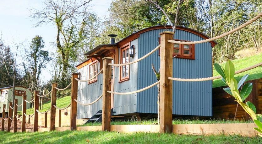 Photo of Little Silver Fox